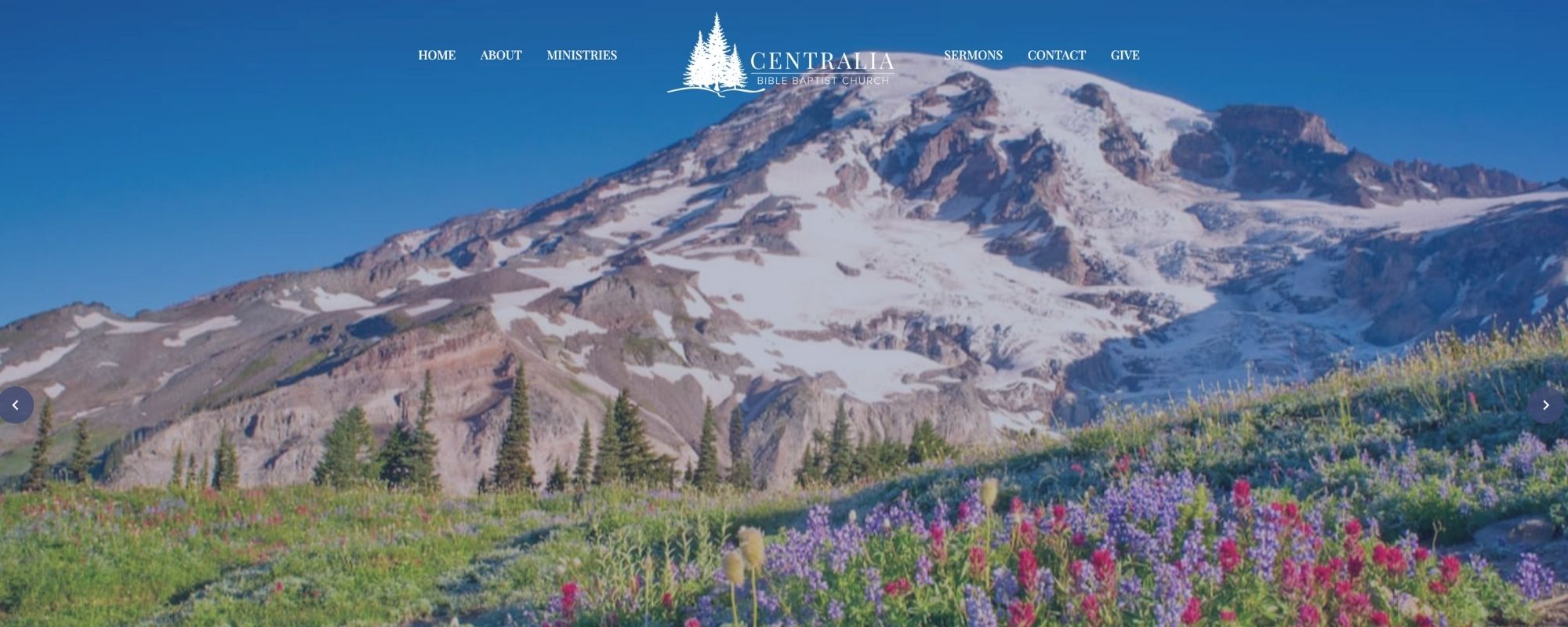 Website Design Trends