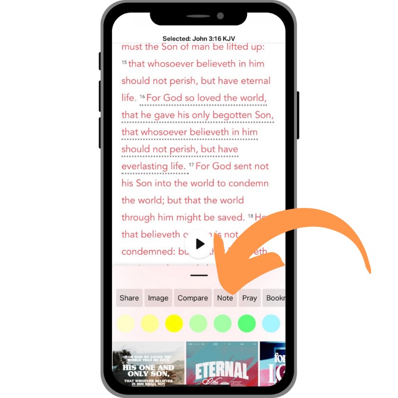The Best Bible in a Year App